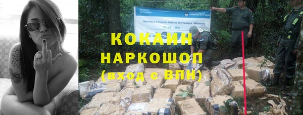 бошки Абаза